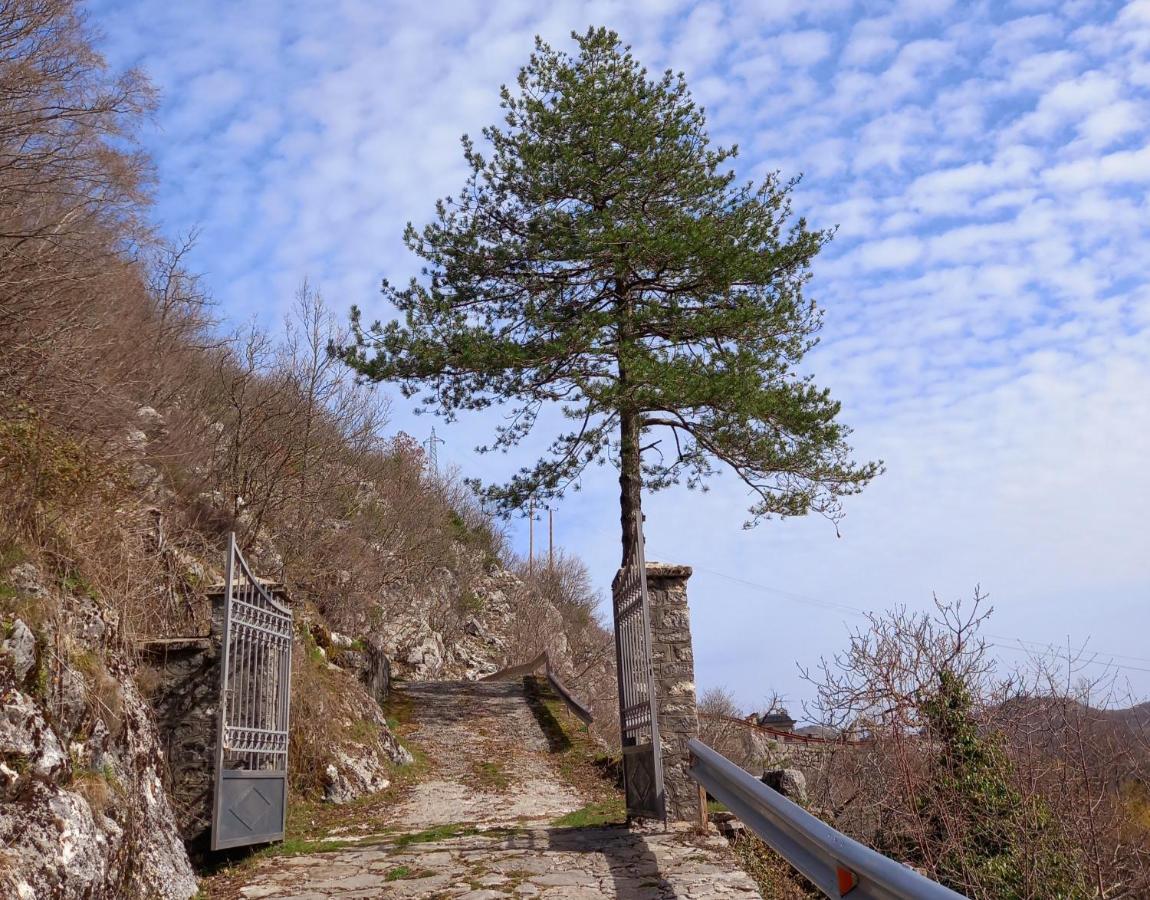 Konak Ugnji-Village Cetinje Exterior photo