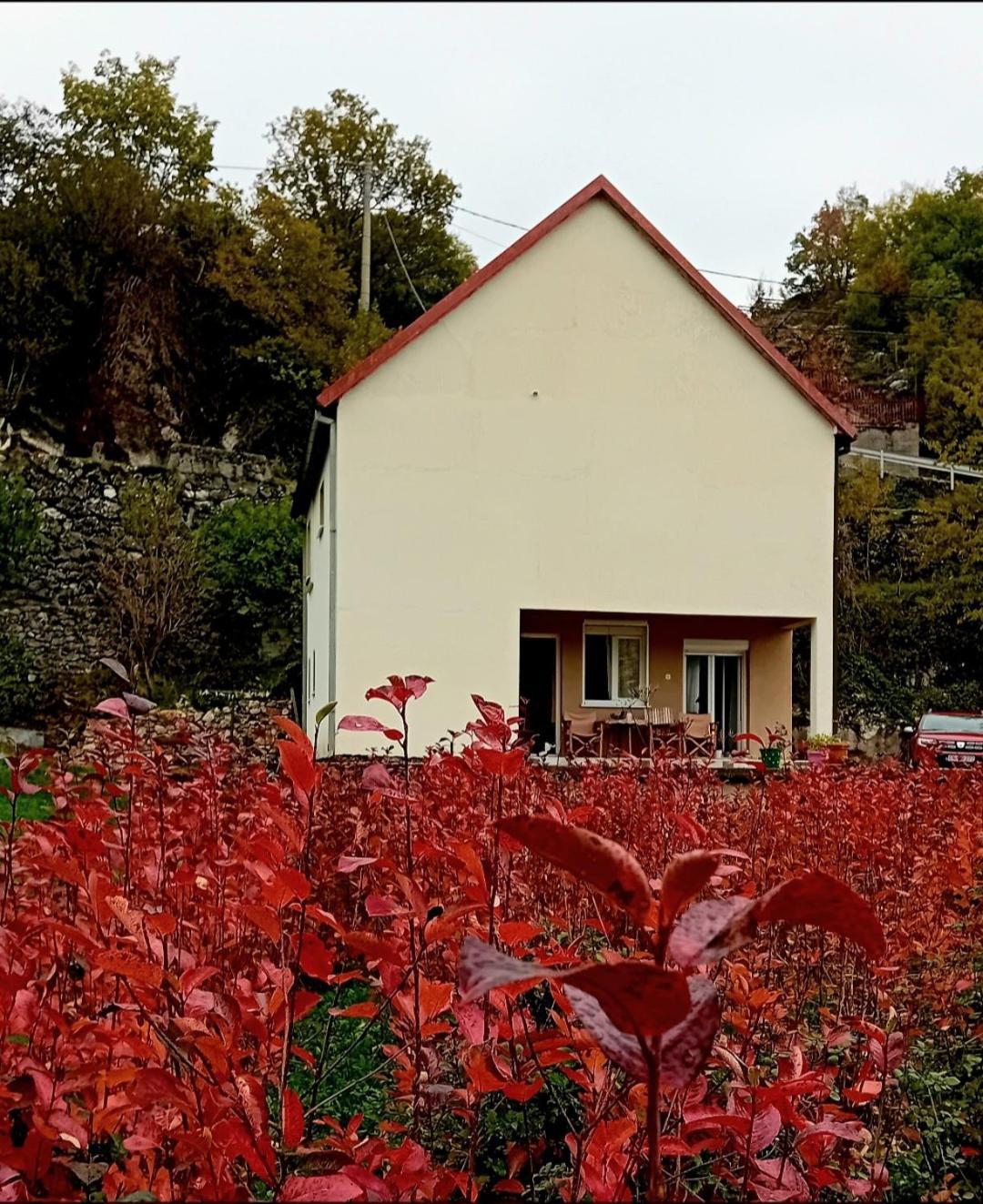 Konak Ugnji-Village Cetinje Exterior photo